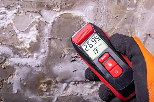 Best Residential Mold Removal  in San Juan Bautista, CA