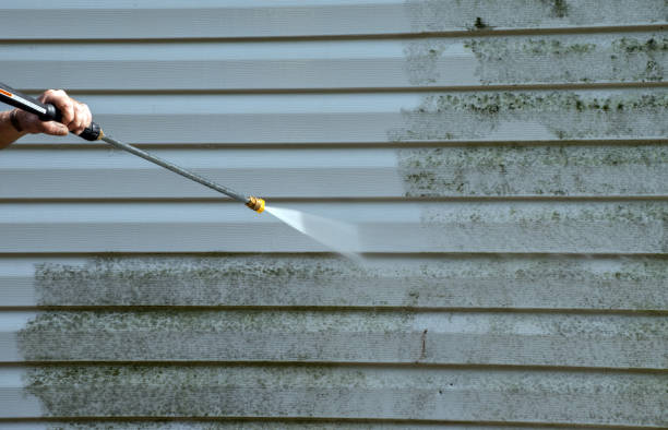 Mold Removal Process in San Juan Bautista, CA