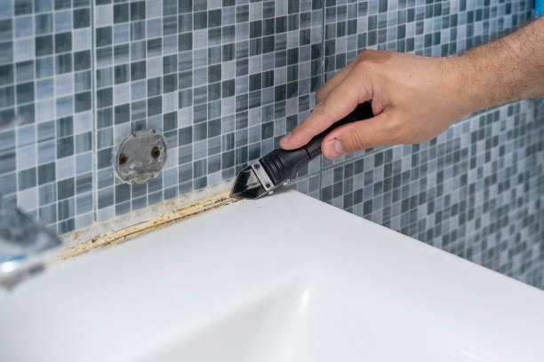 Best Fast Mold Removal  in San Juan Bautista, CA